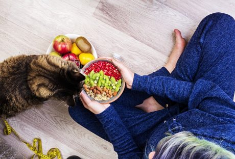 Benefits Of A Raw Cat Food Diet  