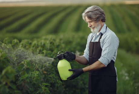 5 Ingredients The Best Kind Of Herbicides Are Made With